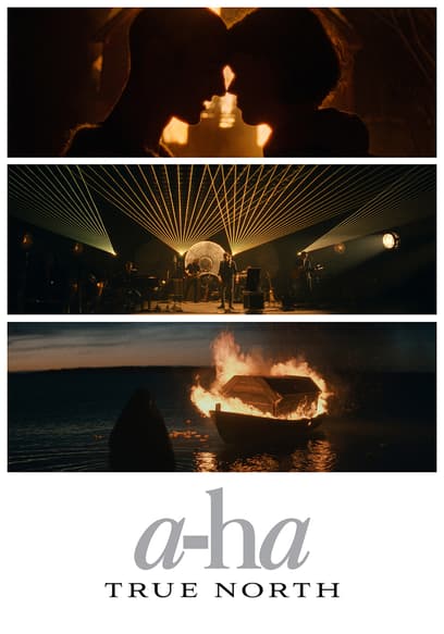 a-ha: True North