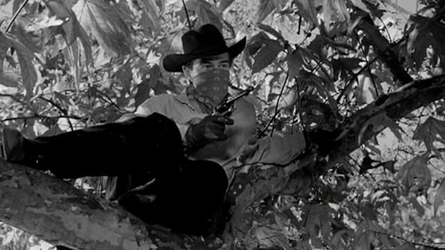 S01:E20 - Violent Sanctuary