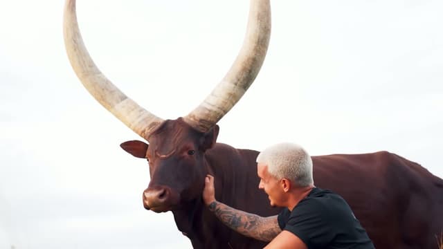 S01:E06 - Meet the Chimps With Dean Schneider