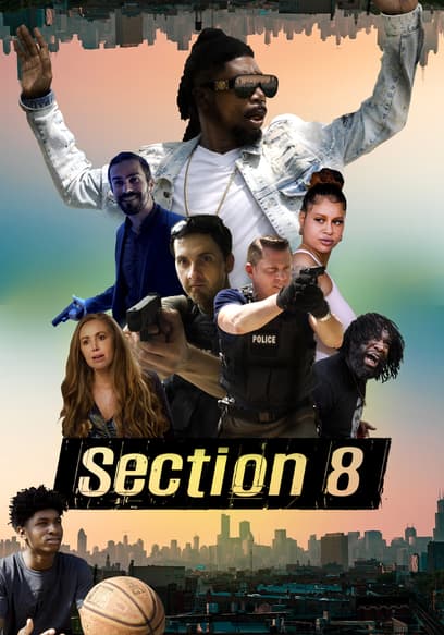 Section 8
