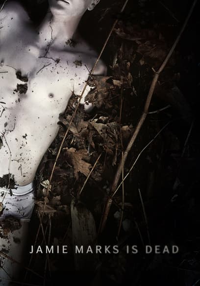 Jamie Marks Is Dead poster