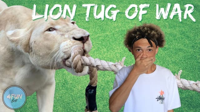 S01:E08 - Tug of War With a LION!