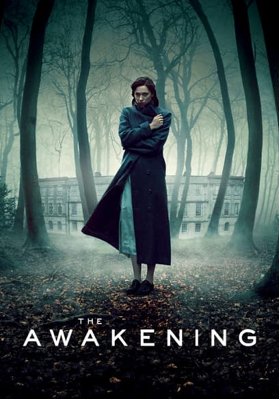 The Awakening poster