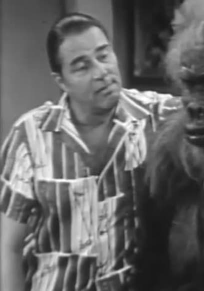 S01:E10 - The Gorilla poster