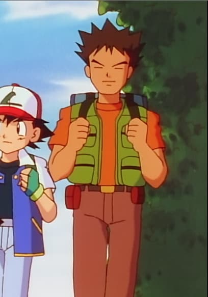 S01:E06 - Clefairy and the Moon Stone poster