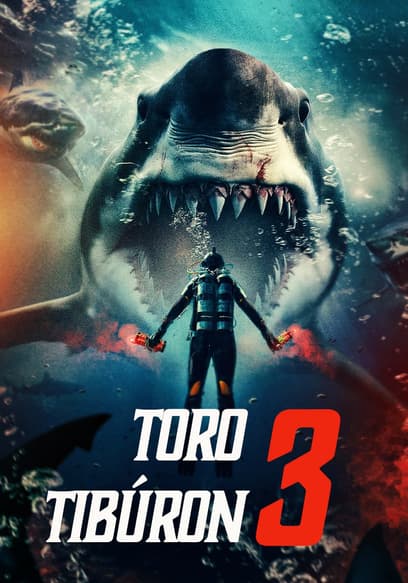 Toro tiburón 3