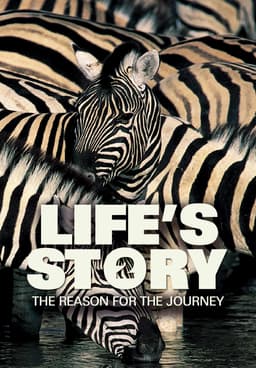 (未使用･未開封品)Life's Story 2: The Reason for the Journey [DVD] Watch Life's Story 2: The Reason for the Journey (2014 - Free