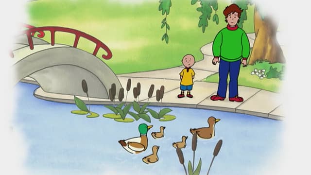 S03:E88 - Elephants! // Caillou and the Sheep // Caillou and the Puppies // the Duck Family // Clementine's New Pet