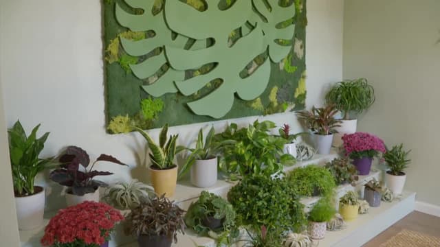 S02:E07 - Living With Nature