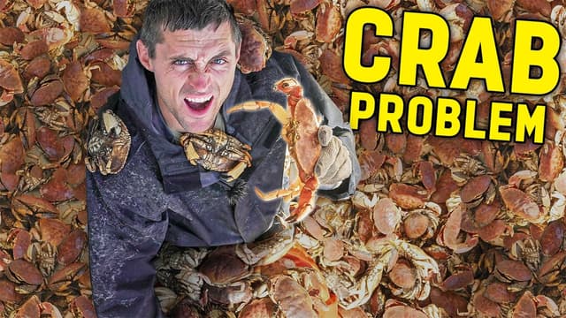 S01:E09 - I Accidentally Caught 24,000,000 Baby Lobsters!
