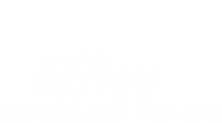 Effigy: Poison and the City