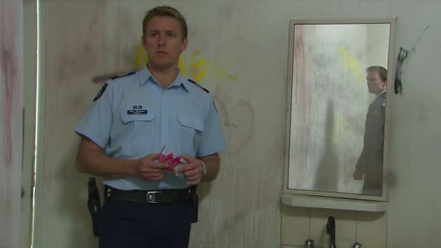 S11:E34 - Happily Ever After