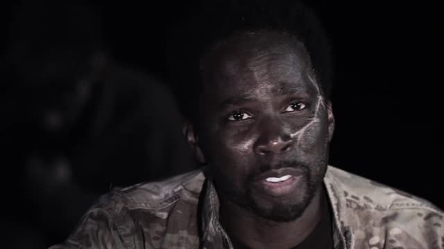 S01:E01 - Perritos Y Gatitos