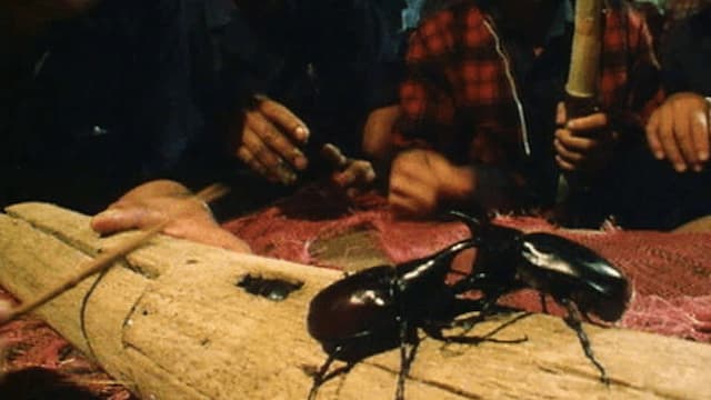 S01:E20 - Bichos (Pt. 2)