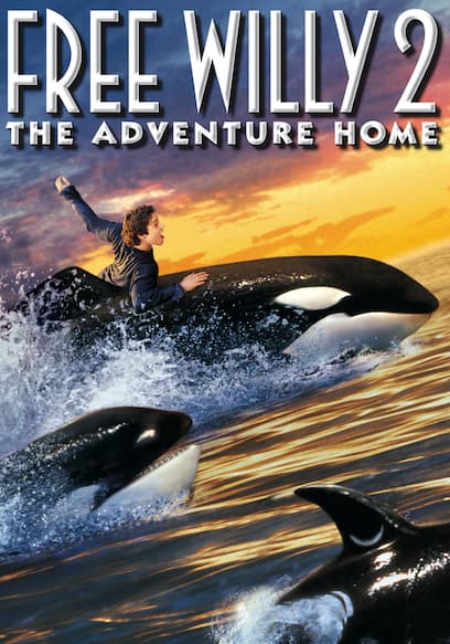 Free Willy 2: The Adventure Home