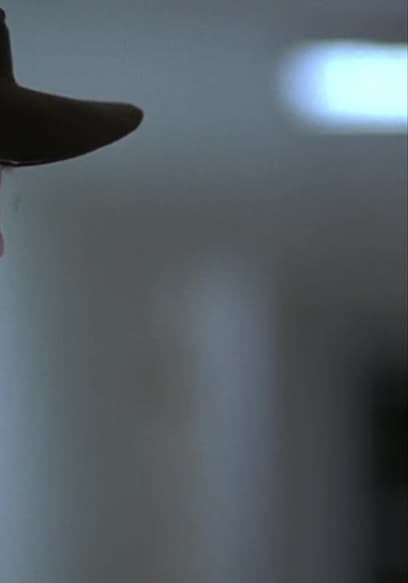 All Roads Lead Home Trailer