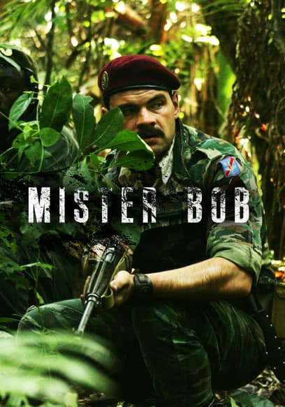 Mister Bob poster