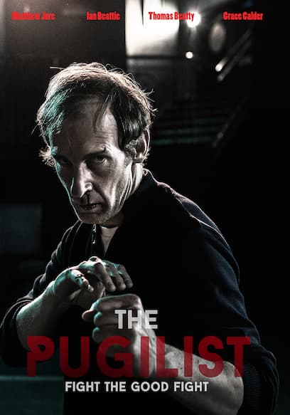 The Pugilist