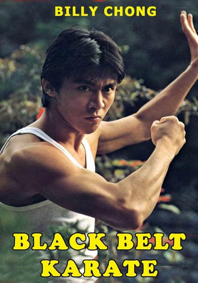 Black Belt Karate