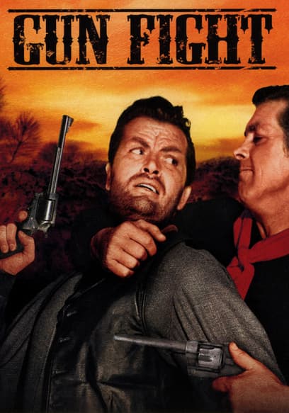 Gun Fight