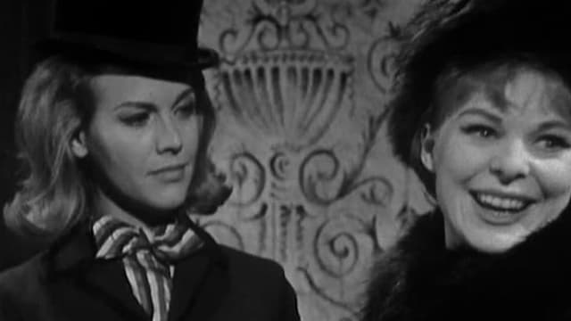 S03:E01 - Brief for Murder