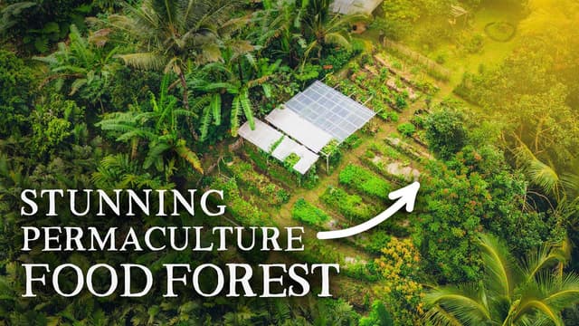 S01:E05 - The Secret Food Forest That's a Masterclass in Abundance