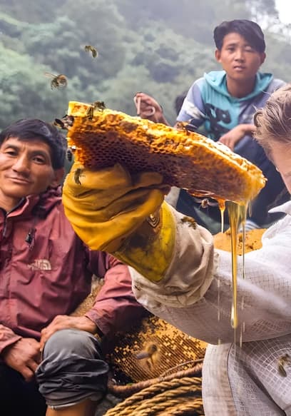 S01:E06 - Honey Hunters of the Himalayas poster