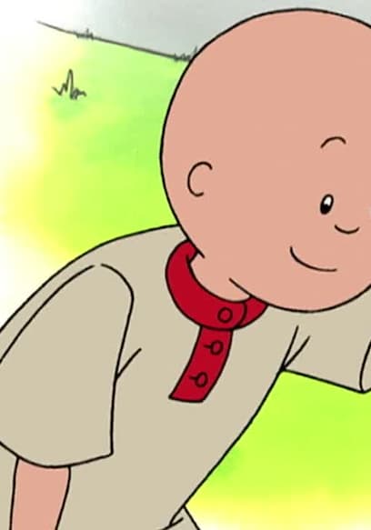 S01:E08 - Caillou's Big Slide // Caillou Walks a Dog // Caillou Watches Rosie // Caillou Gets Sick // Caillou's Phone Call poster