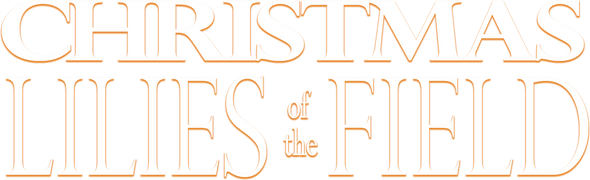 Christmas Lilies of the Field