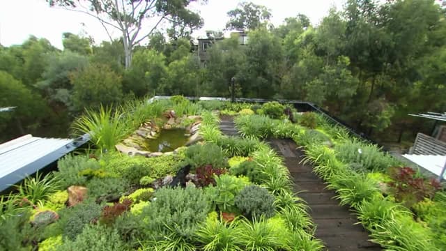 S01:E08 - Urban Jungle