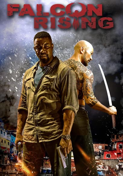 Falcon Rising