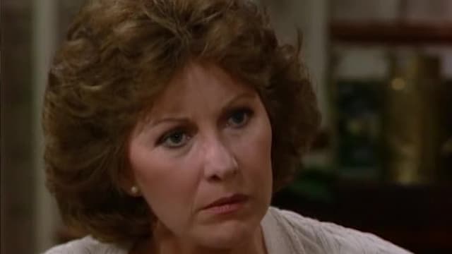 S01:E238 - Episode 238