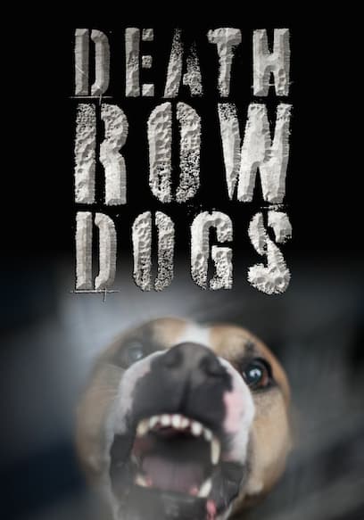 Death Row Dogs