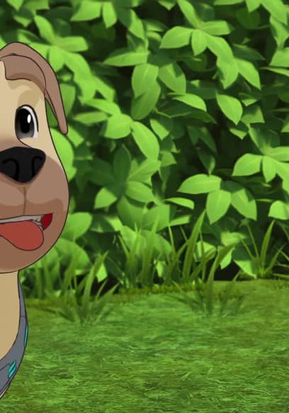 S01:E01 - Brownie : The Talking Dog poster