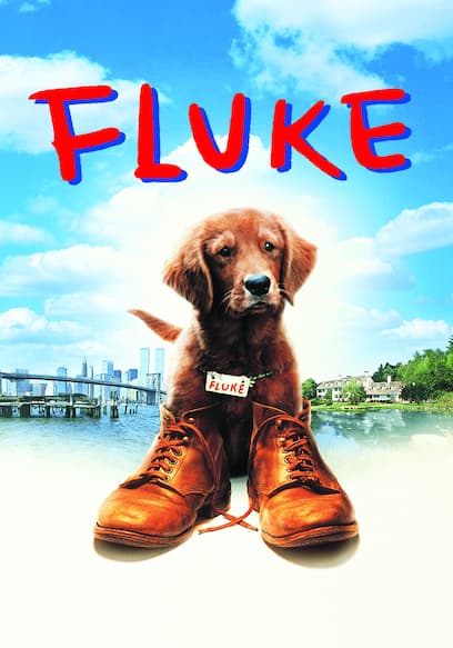 Fluke