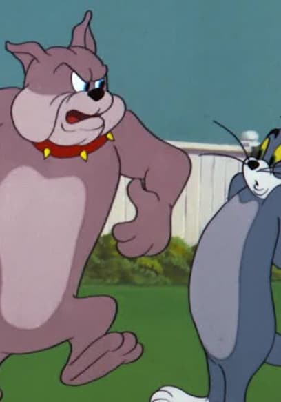 S05:E01 - Heir Bear / Hic-Cup Pup / High Steaks poster