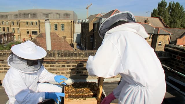 S01:E04 - Ainsley Harriott on Honey / Glynn Purnell on Cheese