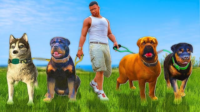S30:E06 - Dogs Bodyguards & Tsunami
