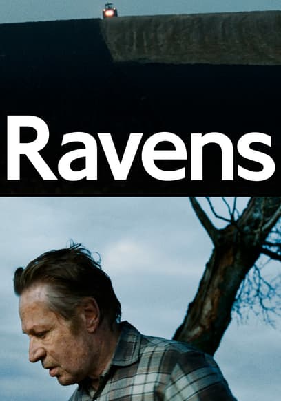 Ravens