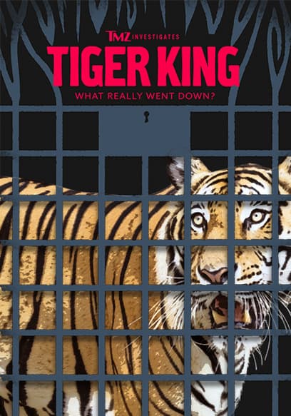 TMZ Investigates: Tiger King - What Really Went Down?