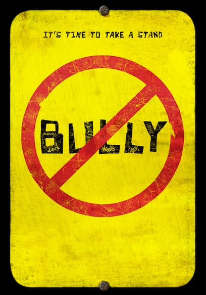 Bully Project (Español)