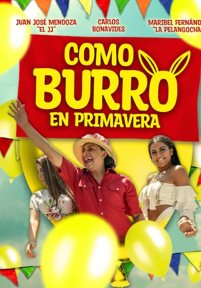 Como burro en primavera
