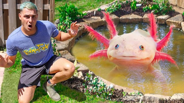 S01:E12 - Finding Axolotls in Pond