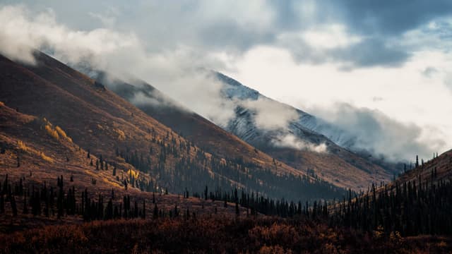 S16:E01 - Rogue River Mountain Caribou