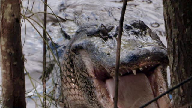 S05:E07 - Devil at the Door