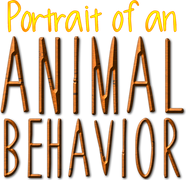 Portrait of an Animal Behavior