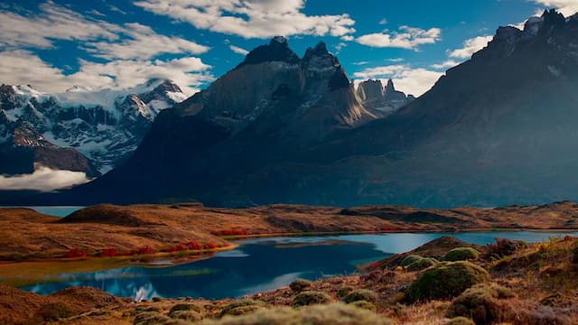 S01:E08 - Un viaje salvaje