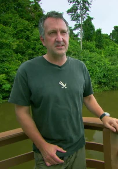S01:E01 - Amazonian Manatee poster
