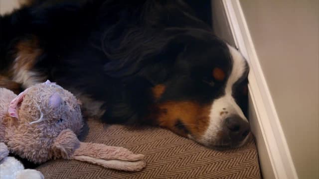 S05:E02 - Rusty, Doug, and Buster