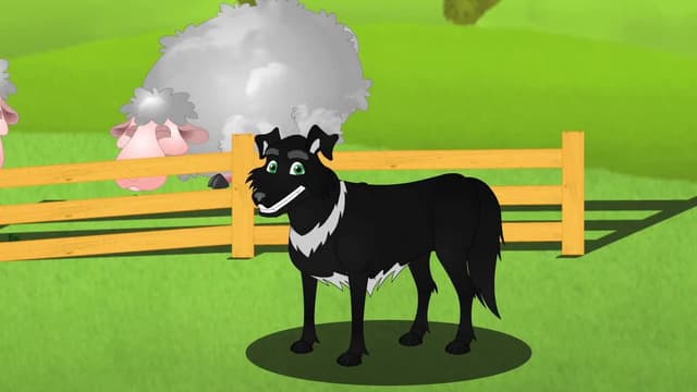 S02:E229 - Sheep Dog